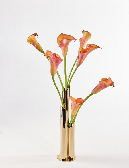 The Tatlin Vase THUMBNAIL
